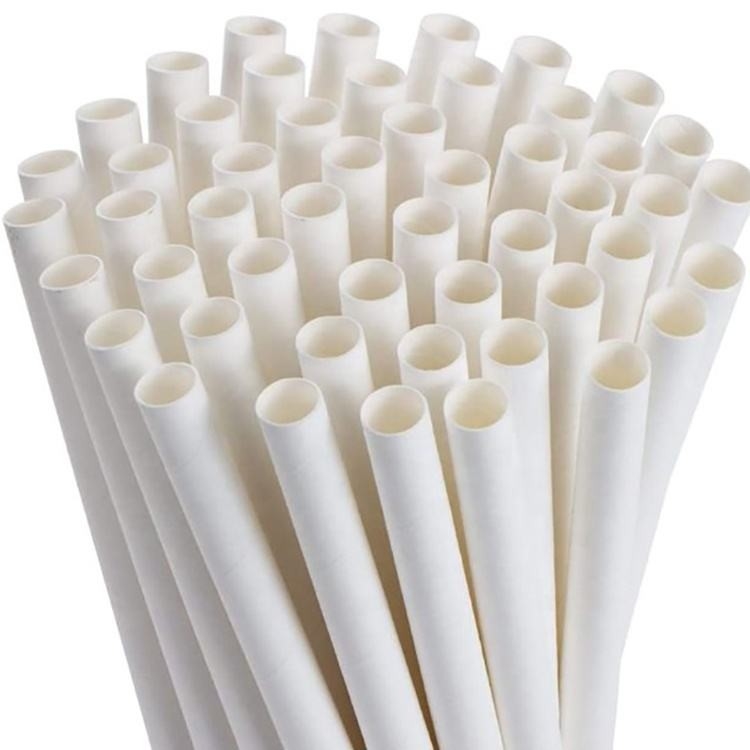 Spitzendurchmesser-Blasen-Blasen-Schalen-Deckel-Wegwerfplastikschale für das Frucht-Trinken