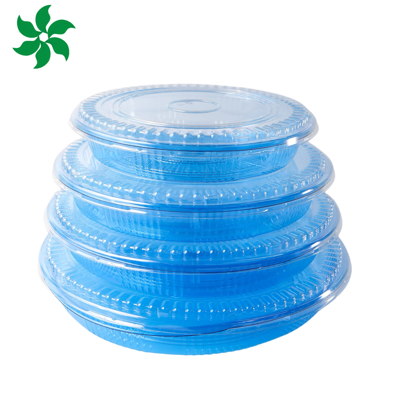 Verpackungskarton Plastik für gute Lebensmittel Quadrat Lebensmittelbehälter Plastik BLUE Einweg-Sushi-Box
