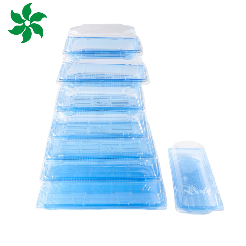 Verpackungskarton Plastik für gute Lebensmittel Quadrat Lebensmittelbehälter Plastik BLUE Einweg-Sushi-Box