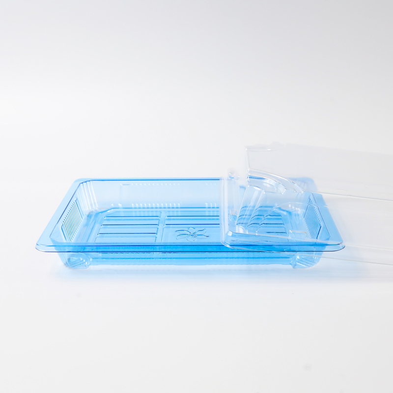 BH00-11 Lebensmittelbehälter Verpackungskiste zur Mitnahme Kunststoff für gute Lebensmittel Kunststoff Blau Einweg-Sushi-Box