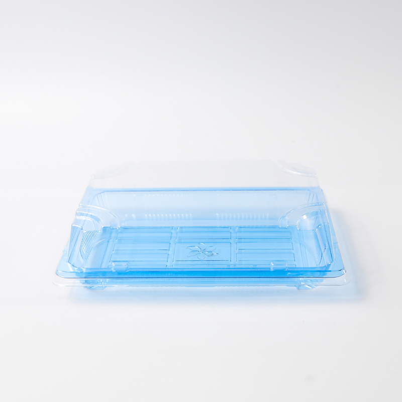 BH00-11 Lebensmittelbehälter Verpackungskiste zur Mitnahme Kunststoff für gute Lebensmittel Kunststoff Blau Einweg-Sushi-Box