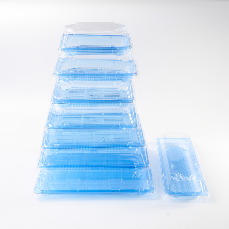 BH00-11 Lebensmittelbehälter Verpackungskiste zur Mitnahme Kunststoff für gute Lebensmittel Kunststoff Blau Einweg-Sushi-Box