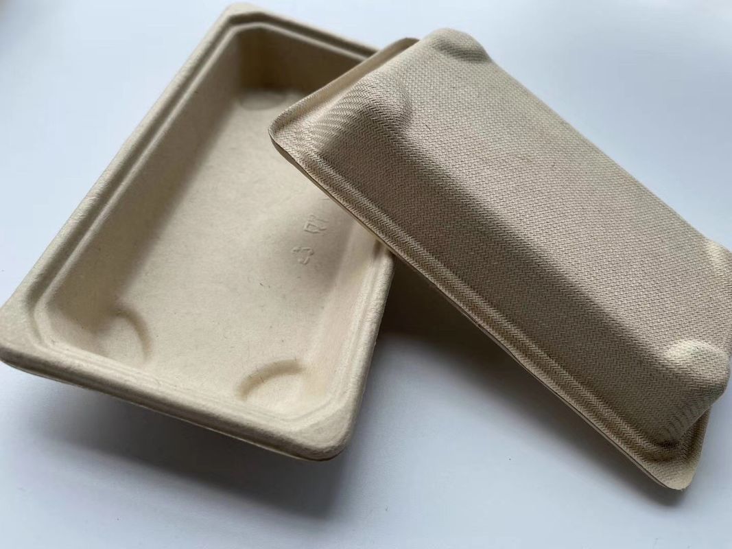 Die Papiersushi, die biologisch abbaubar sind, nehmen den Wegwerf Kasten weg