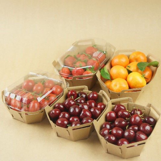 Recyclebarer Frucht-Tray With-HAUSTIER Deckel des Kraftpapier-350gsm