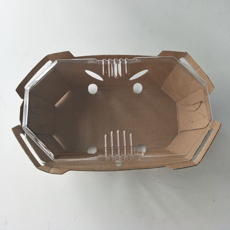 Recyclebarer Frucht-Tray With-HAUSTIER Deckel des Kraftpapier-350gsm