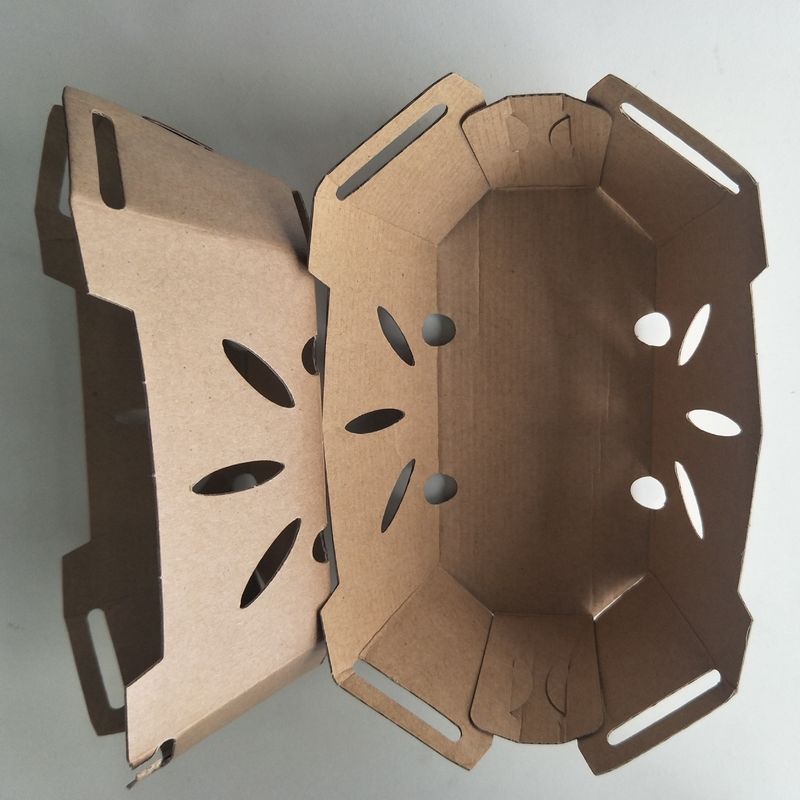 Recyclebarer Frucht-Tray With-HAUSTIER Deckel des Kraftpapier-350gsm