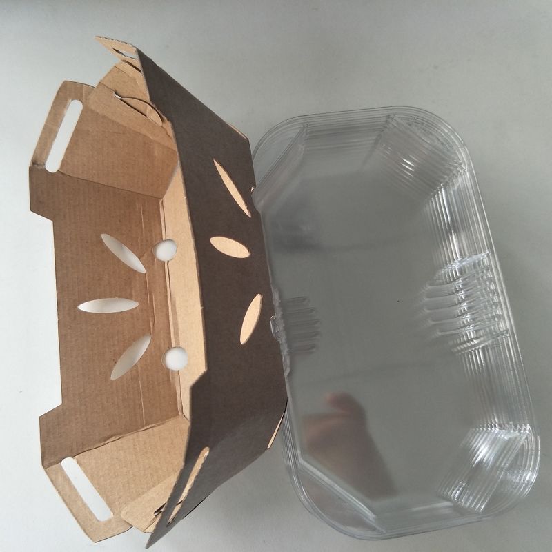 Recyclebarer Frucht-Tray With-HAUSTIER Deckel des Kraftpapier-350gsm