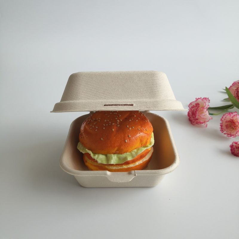 5 Zoll 6 Zoll-biologisch abbaubares Zuckerrohr-Wegwerfburger-Kasten