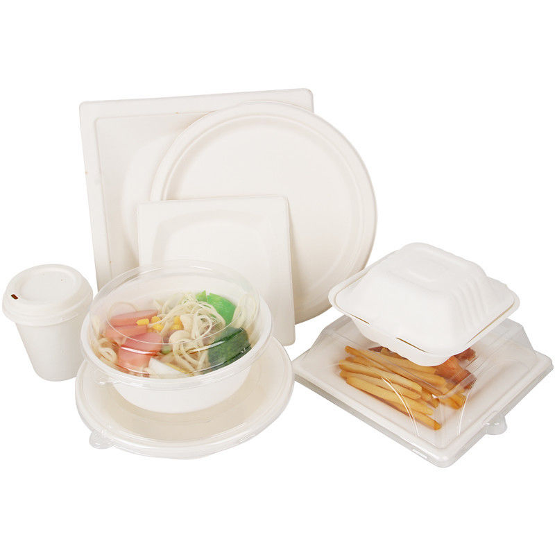 Die Zuckerrohr-Bagasse, die biologisch abbaubar ist, nehmen den Kasten weg, der für Sushi Wegwerf ist